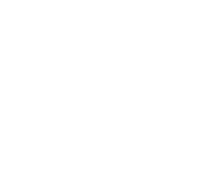 White Logo Icon